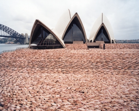 Zdjęcie ze strony artysty, wykonane przed operą w Sydney. / Photo from the website of the artist, taken in front of Sydney Opera.